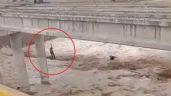 Foto ilustrativa de la nota titulada: El agua arrastró una retroexcavadora en un puente de la ruta 40 y casi se lleva a un hombre