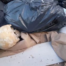 Macabro hallazgo causó alarma en Playa Grande de Mar del Plata