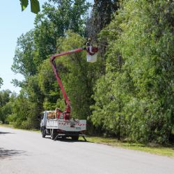 Otro intendente en apuros por una licitación de luces LED