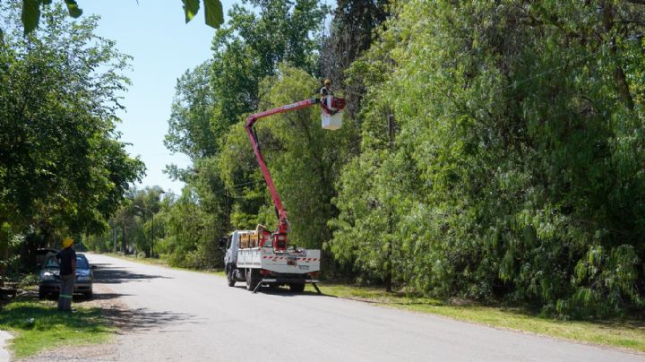 Otro intendente en apuros por una licitación de luces LED