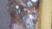 Foto ilustrativa de la nota titulada: Alarma en Maipú por residuos patológicos tirados en plena calle frente al hospital Paroissien