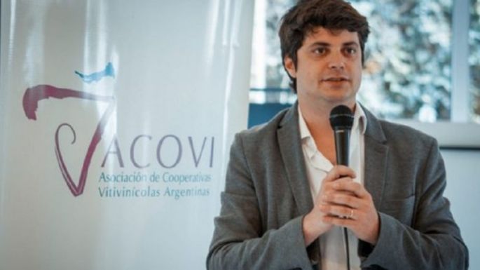 Hay que erradicar 70 mil hectáreas o faltan políticas para la vitivinicultura