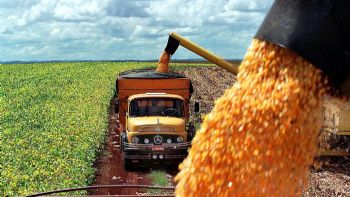 El Gobierno simplificó el traslado de granos con menos trámites 