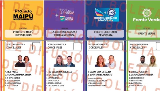 Atención: así es la boleta de candidatos para votar en Maipú
