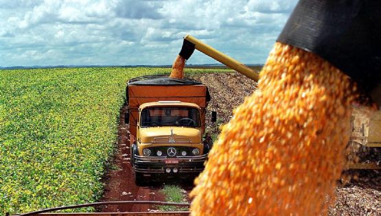 El Gobierno simplificó el traslado de granos con menos trámites 