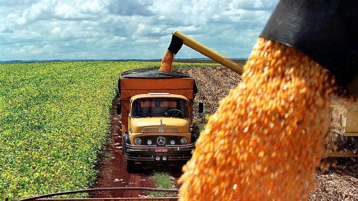 El Gobierno simplificó el traslado de granos con menos trámites 