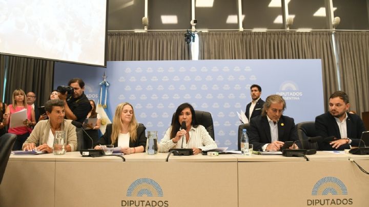 Régimen Penal Juvenil: el oficialismo consiguió firmar dictamen de mayoría