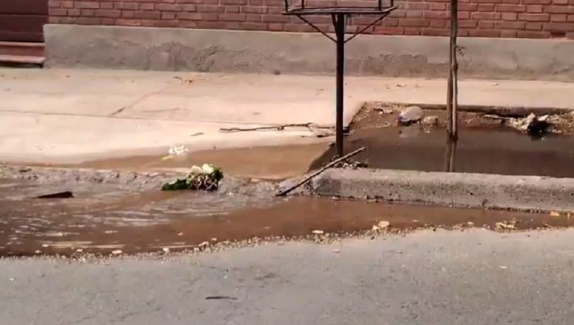Video: una acequia tapada de basura se desbordó en Ciudad