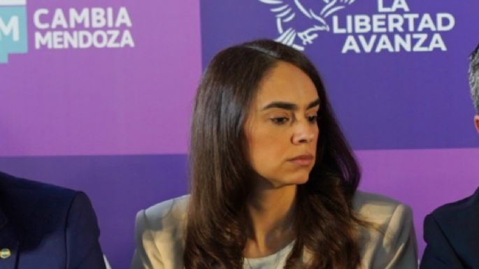 Así votaron los diputados mendocinos la baja de la edad de imputabilidad