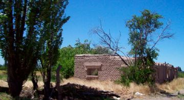 En 10 años cayó 55% la cantidad de productores agrícolas en Mendoza