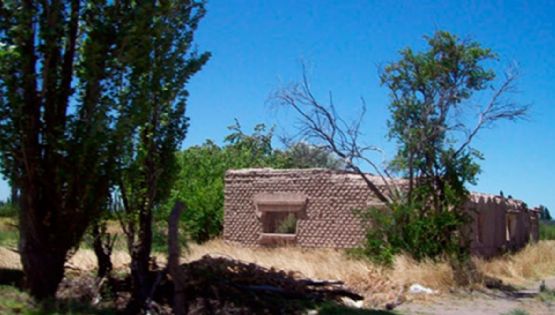 En 10 años cayó 55% la cantidad de productores agrícolas en Mendoza