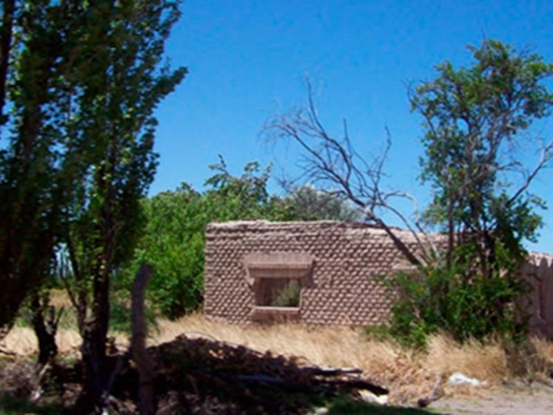 En 10 años cayó 55% la cantidad de productores agrícolas en Mendoza