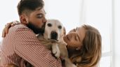Foto ilustrativa de la nota titulada: Una prepaga incluye a las mascotas en las coberturas
