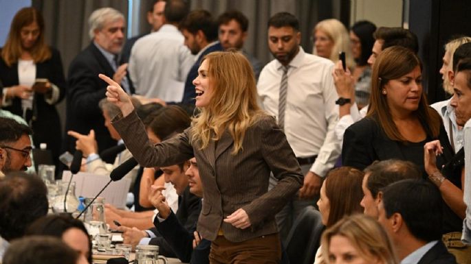 El oficialismo y sus aliados aprobaron la reforma laboral y vuelve con cambios al Senado