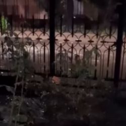 Video: casas inundadas por las obras viales de Las Heras