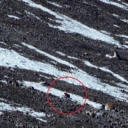 Rescastaron a un turista japonés que había sufrido una caída de 300 metros en el Aconcagua 