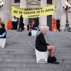 Detienen a activistas que saltaron la reja del Congreso en contra de la reforma de la Ley de Glaciares