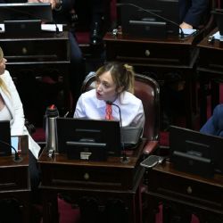 Fernández Sagasti se diferenció del resto del kirchnerismo en una votación del Senado