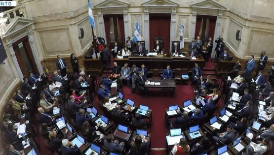 El Senado aprobó la baja en la edad de imputabilidad de 16 a 14 años