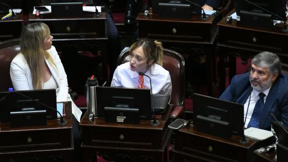 Fernández Sagasti se diferenció del resto del kirchnerismo en una votación del Senado