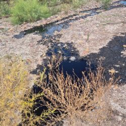 Petroleros jerárquicos salieron a contestarle a Jimena Latorre