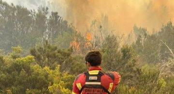 Incendios en la Patagonia: 500 bomberos luchan contra el fuego en Chubut