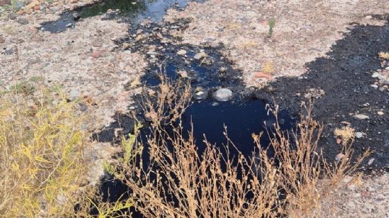 Petroleros jerárquicos salieron a contestarle a Jimena Latorre