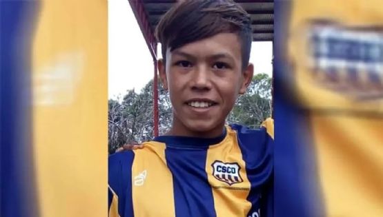 Van a juicio los dueños de una jauría de perros que asesinó a un niño de 12 años 