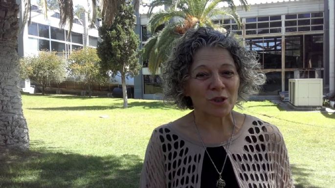 Advierten sobre la debilidad institucional mendocina para aplicar la Ley de Glaciares