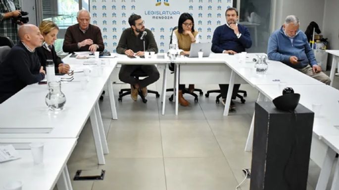 Hasta 66 mil camiones al año podrían dejar de pasar por el Paso Cristo Redentor