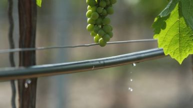 Foto iliustrativa de  Una historia que no debe terminar: “El Fondo de Transformación y Crecimiento”