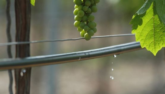 Una historia que no debe terminar: “El Fondo de Transformación y Crecimiento”