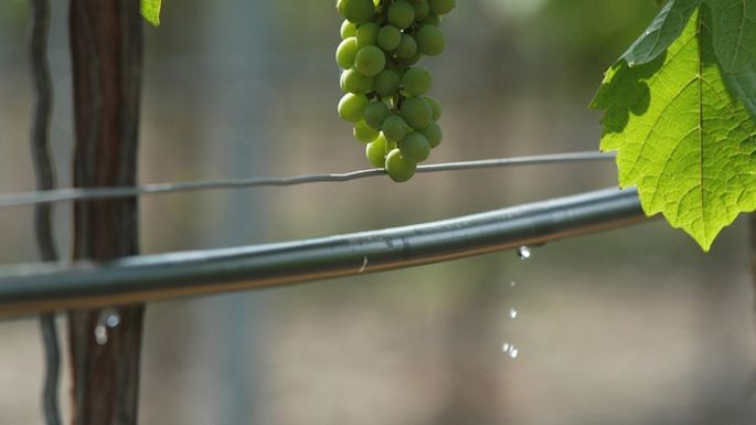 Una historia que no debe terminar: “El Fondo de Transformación y Crecimiento”