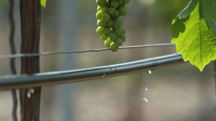 Una historia que no debe terminar: “El Fondo de Transformación y Crecimiento”