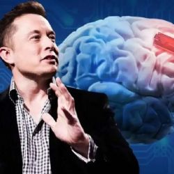 China acelera en la carrera de los implantes cerebrales para desbancar a Musk
