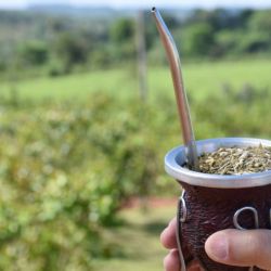 El consumo de yerba mate cayó 9 por ciento en el último año
