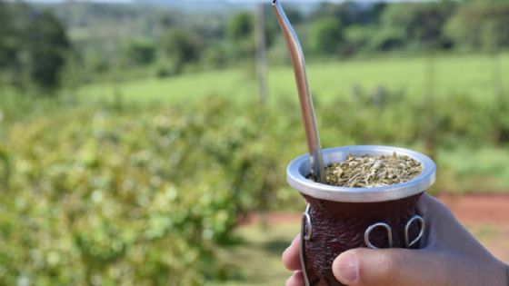 El consumo de yerba mate cayó 9 por ciento en el último año