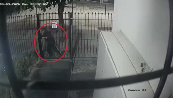 Videos de la zona liberada: el desesperado reclamo de los vecinos de Las Heras ante la ola de robos