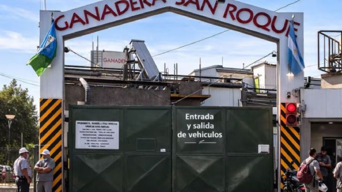 Cerró un frigorífico y despidió a 140 empleados: apuntó contra la “importación sin ningún tipo de control”