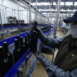 Trabajo aprobó la conciliación obligatoria y no habrá paro de trabajadores de bodega y viñedo