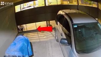 Video: el tenso momento en que un vecino frustró un robo en Godoy Cruz