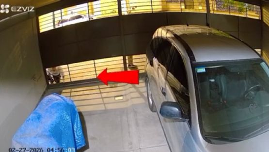 Video: el tenso momento en que un vecino frustró un robo en Godoy Cruz