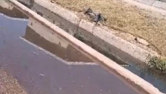 Duró poco el "maquillaje" en Las Heras: acequias desbordadas por líquidos cloacales