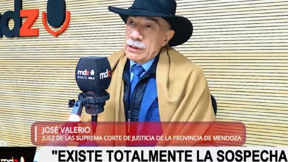 José Valerio: "Yo entiendo que hay interferencia política en la Justicia"