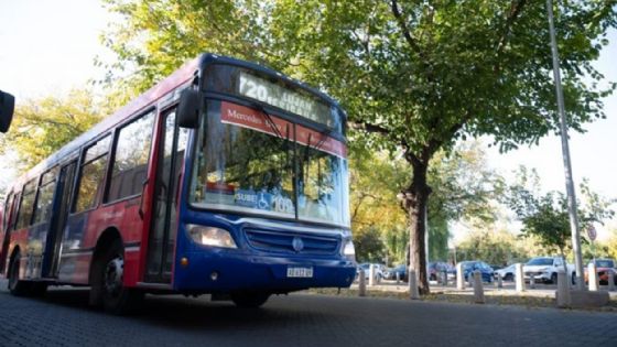 Atención: suspenderán el transporte público por la final del Mundial