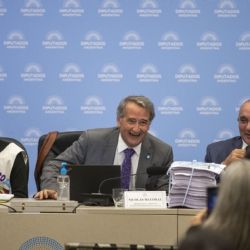 “Las mujeres son mi debilidad”: la frase de un diputado libertario durante un plenario de comisiones 