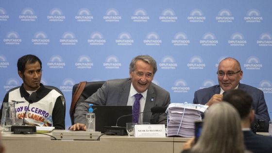 “Las mujeres son mi debilidad”: la frase de un diputado libertario durante un plenario de comisiones