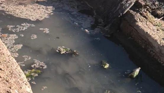 El "maquillaje" de Las Heras para ocultar una emergencia sanitaria en medio de una inauguración