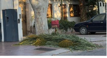 Vecinos contra vecinos en la Quinta Sección: quejas porque no cumplen la recolección diferenciada