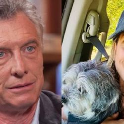 Afirman que Mauricio Macri ya tiene nueva pareja: quién es Dolores Teuly